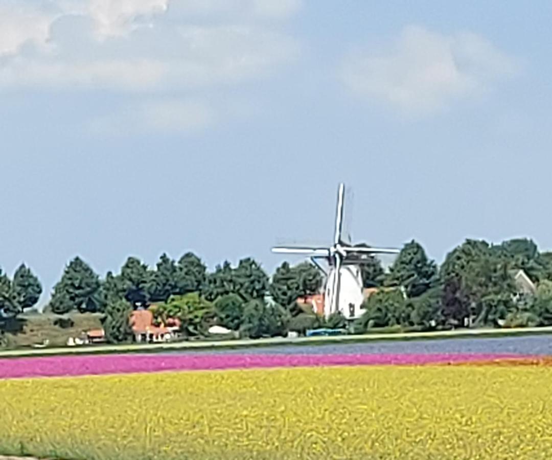 De Nieuwe Stal Scherpenisse Exterior foto