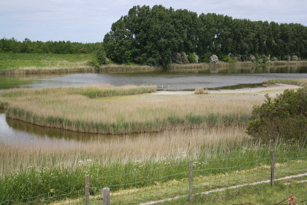 De Nieuwe Stal Scherpenisse Exterior foto