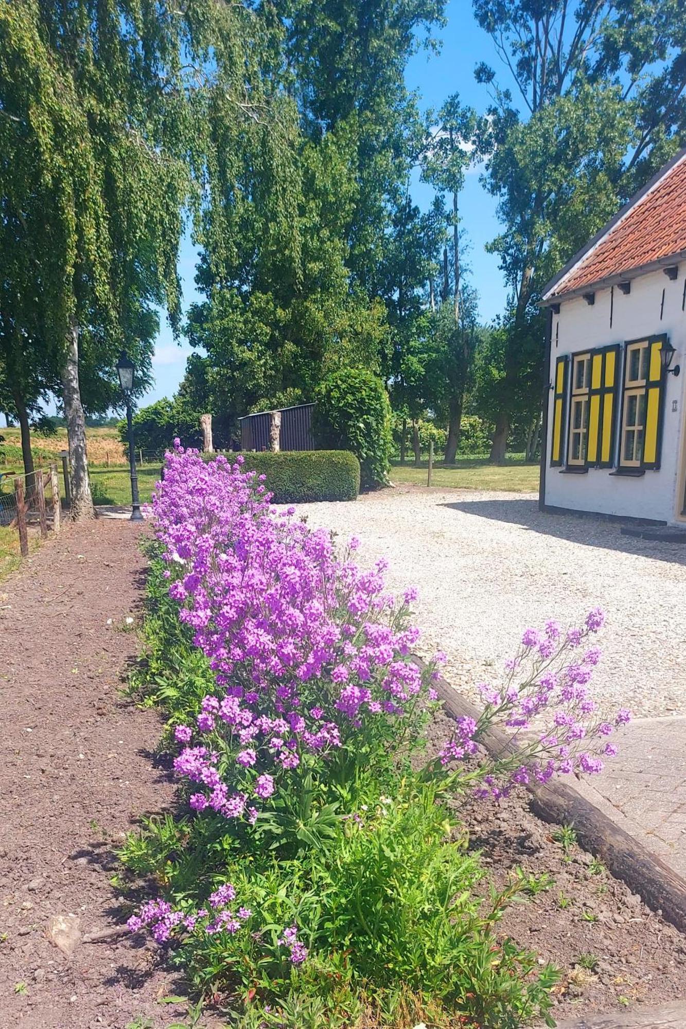 De Nieuwe Stal Scherpenisse Exterior foto